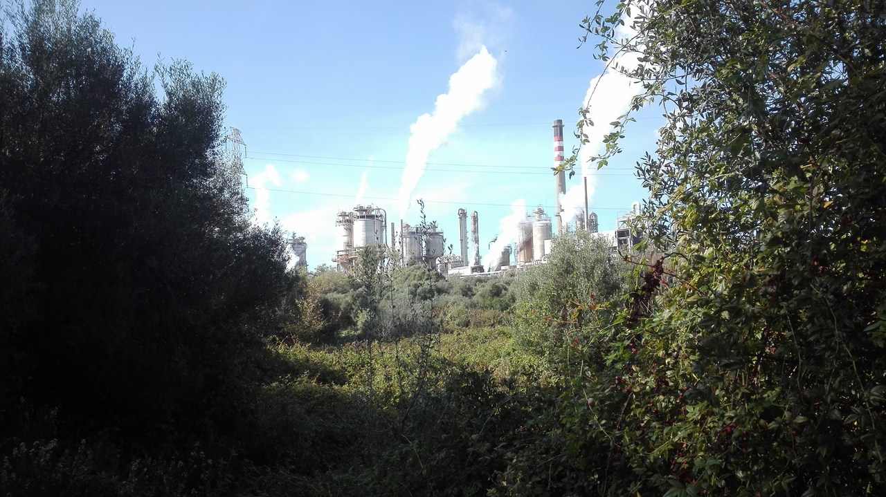 IMG 20181128 134325 (Copy)